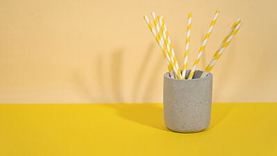 Laghu Mug Dani