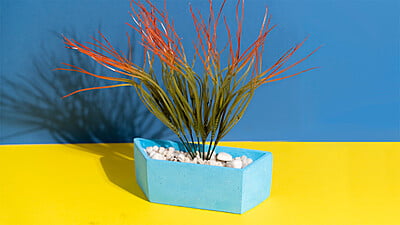 Guru Astabhag Pot