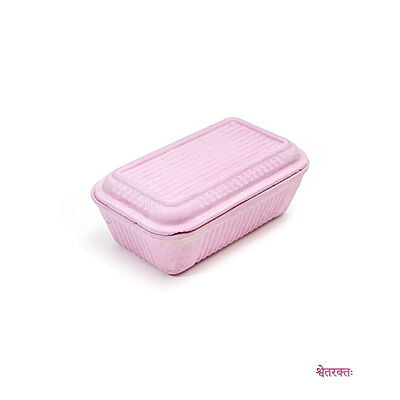 Lunch Box Lunch Box