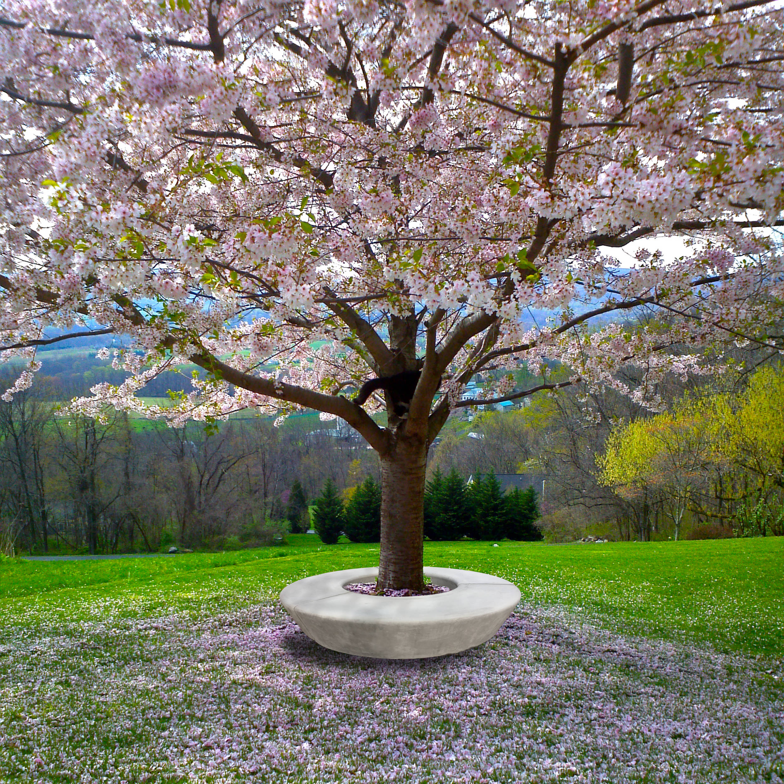 Round Bench