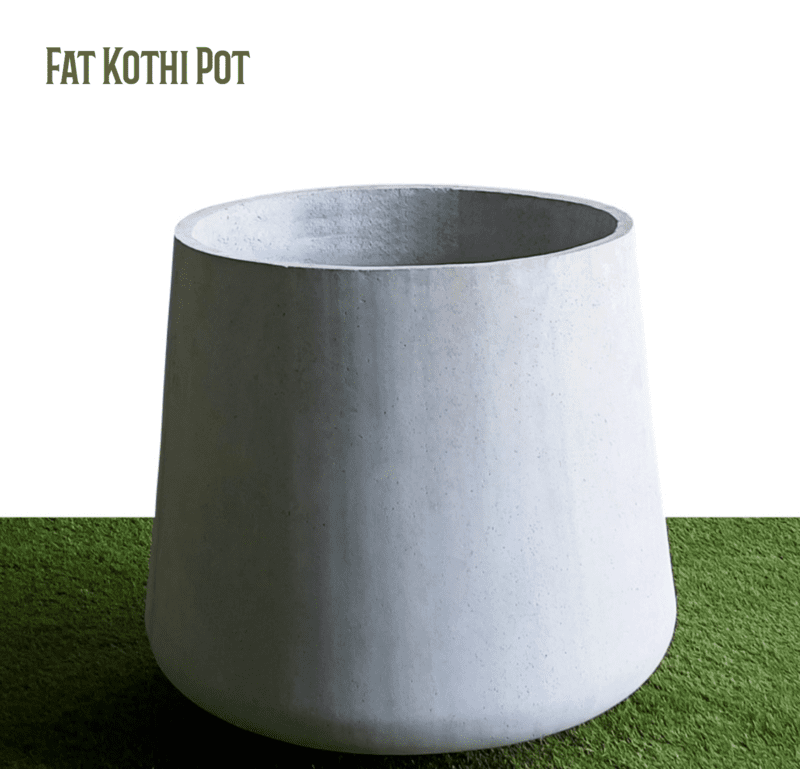 Fat Kothi Pot